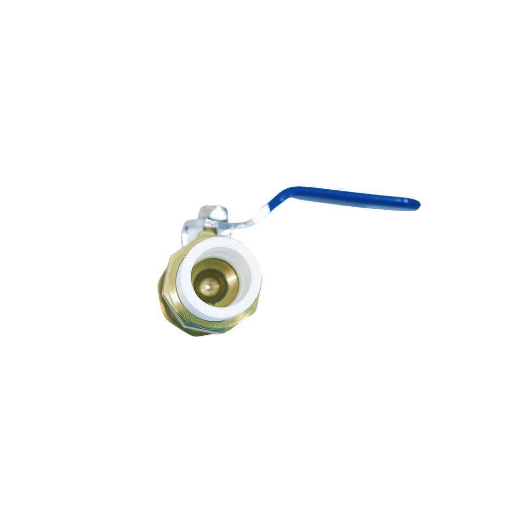 PPR Ball Valve